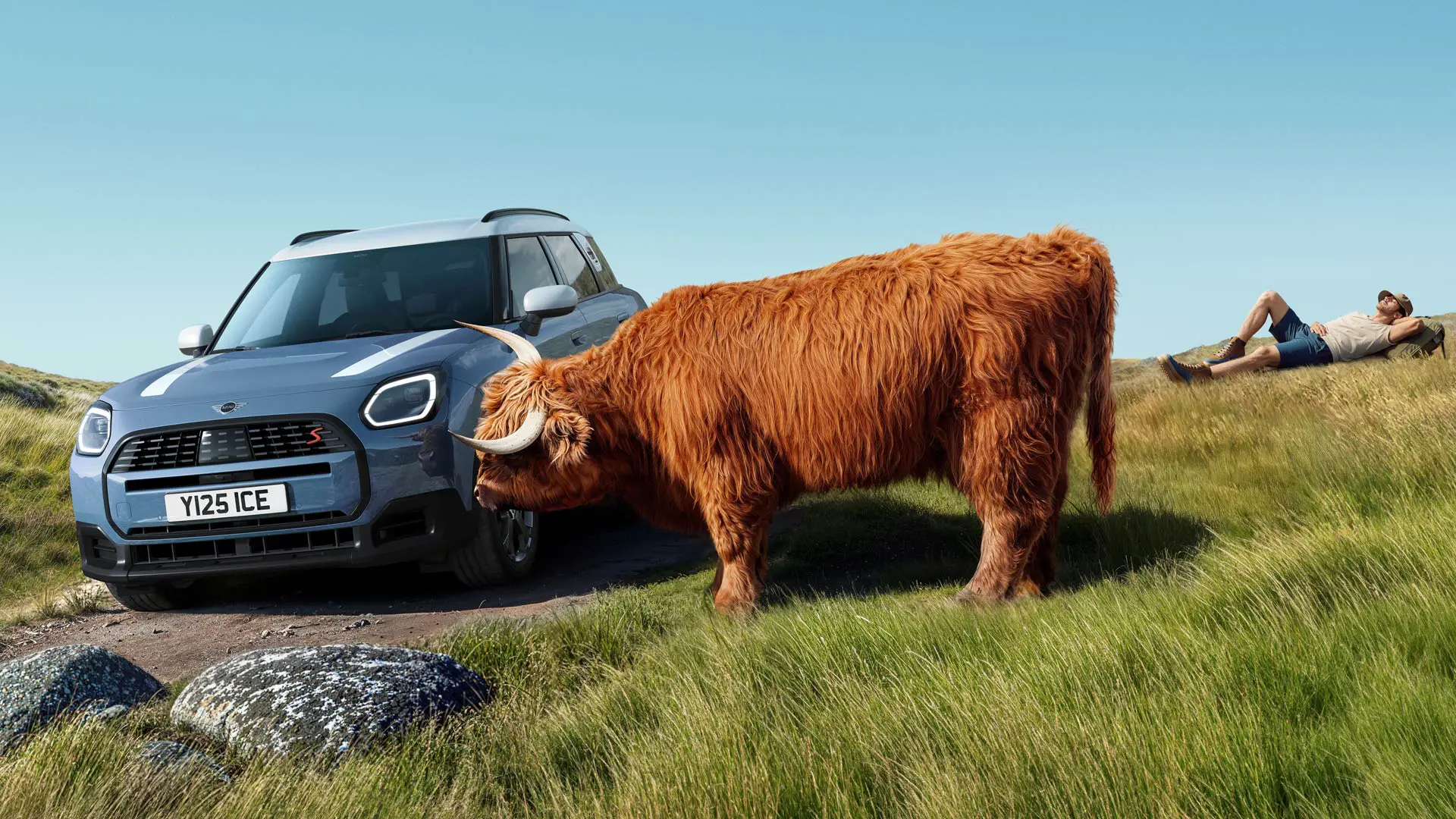 MINI Countryman ajaa rauhallisesti lähistöllä laiduntavan lehmän ohi. Proactive Care hoitaa huolet, sinä ajat.