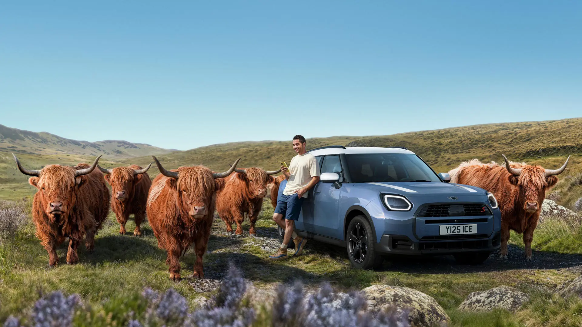 Mies nojaa rennosti MINI Countryman S ALL4 -autoonsa ylämaan härkien ympäröimänä mäkisessä maastossa.
